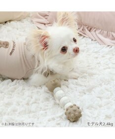 PET PARADISE ペットパラダイス くまちゃん ラテックス トイ 《ブラウン》