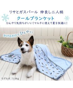 PET PARADISE リサとガスパール クールブランケット (90×60cm)