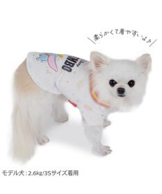 PET PARADISE ディズニー ダンボ サーモキープ Tシャツ 小型犬
