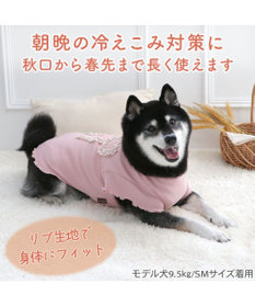 PET PARADISE ペットパラダイス リボン プレミアム ペティヒート Ｔシャツ 中型犬
