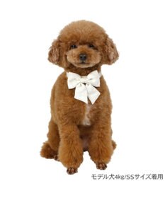 PET PARADISE ペットパラダイス 花柄りぼん 首輪 ３Ｓ 小型犬