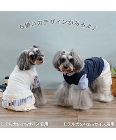PET PARADISE ペットパラダイス ベスト パンツつなぎ 《ホワイト》 小型犬