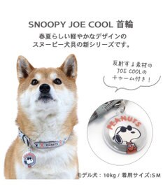PET PARADISE スヌーピージョークール 反射 お揃い首輪 【ＳＭ】