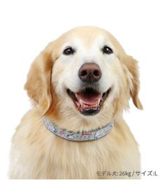 PET PARADISE スヌーピー 首輪 《 ビーグルスカウト》 Ｍ 大型犬
