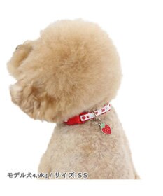 PET PARADISE ペットパラダイス 苺チャーム付き首輪 ＳＳ