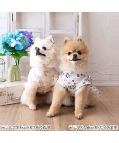 PET PARADISE ペットパラダイス くまちゃん 甚平 《アイス柄》 小型犬