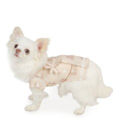 PET PARADISE ペットパラダイス くまちゃん 甚平 《アイス柄》 小型犬