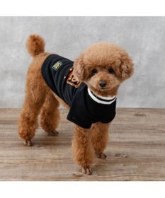PET PARADISE Lee ネオン Tシャツ 《ブラック》 小型犬