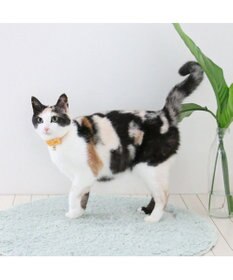 PET PARADISE ペットパラダイス 猫 首輪 チロリアン 《イエロー》