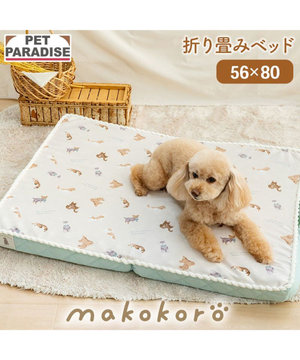  ペットパラダイス makokoro シニアベッド 《犬柄》 Ｍ