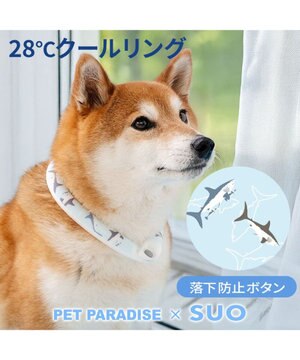  ペットパラダイス ２８℃ クールリング Ｍ 《サメ柄》