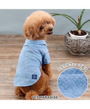 J.PRESS 杢 ウェーブシャツ 《水色》 小型犬