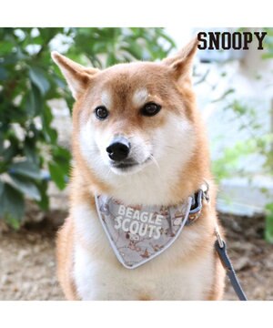  スヌーピー 首輪 ビーグルスカウト柄 反射付き 【Ｌ】大型犬