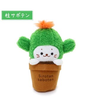  しろたん サボテン マスコット 《柱サボテン》