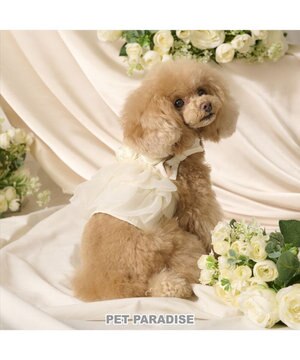  cherircouture チュールビスチェ 小型犬