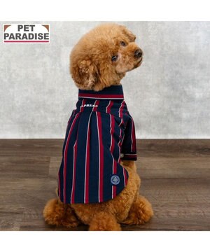  J.PRESS レジメンタル シャツ 小型犬