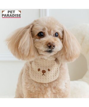  ペットパラダイス くまさん スタイ 小型犬