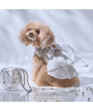  cherircouture シースルーリボン ワンピース 小型犬