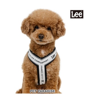  Lee ロゴ アクティブ ハーネス Ｓ 小型犬