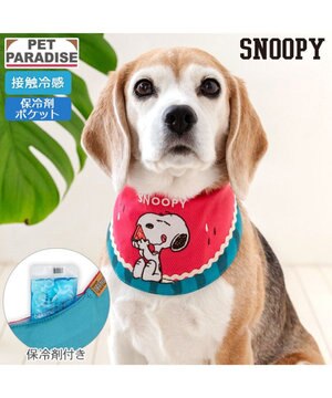  スヌーピー クールバンダナ 《スイカ柄》 中型犬 大型犬