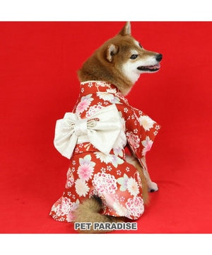  ペットパラダイス 手毬菊 着物 中型犬