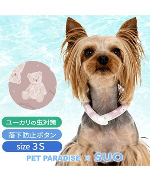  ペットパラダイス 28℃クールリング 《くま》 ３Ｓ 小型犬