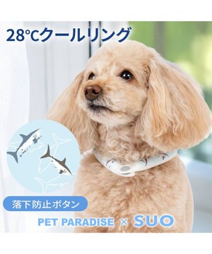  ペットパラダイス ２８℃ クールリング ３Ｓ 《サメ柄》