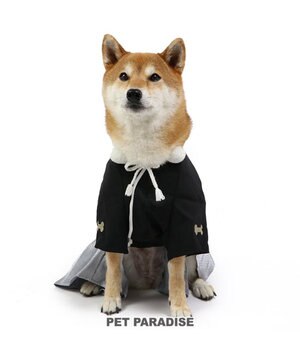  ペットパラダイス 紋付袴 《シルバー》 中型犬 大型犬