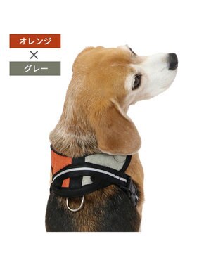  ヘッドインハーネス  【ＳＭ】 オレンジ / ブルー 【中型犬】