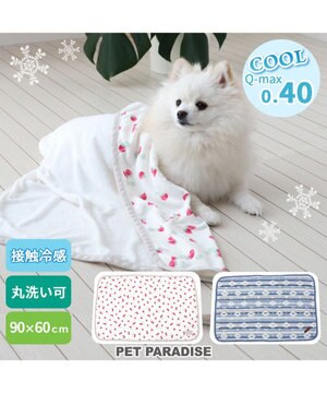  ペットパラダイス クールブランケット 単品 (90×60cm)  《 苺柄 / ネイティブ柄 》