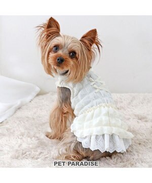  ペットパラダイス ぽこぽこ ワンピース 《ホワイト》 小型犬
