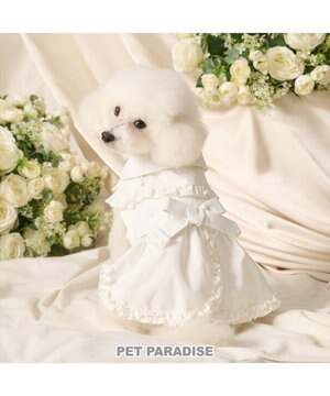  cherircouture フリフリ トレンチコート 小型犬