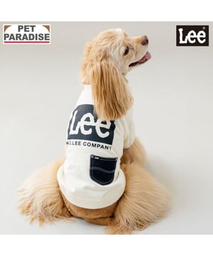  Lee ボックスロゴ トレーナー ホワイト 中型犬 大型犬