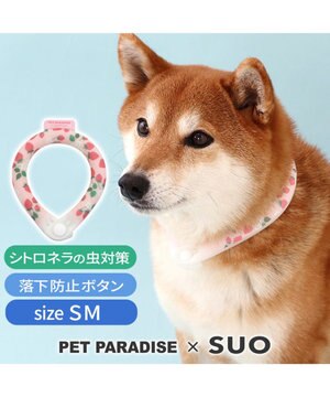  ペットパラダイス 28℃クールリング SUO 《いちご柄》 〔ＳＭ〕 中型犬