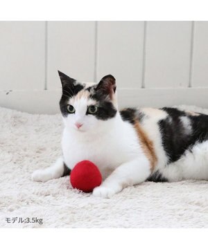  ペットパラダイス 猫 羊毛 ボール 【単品】