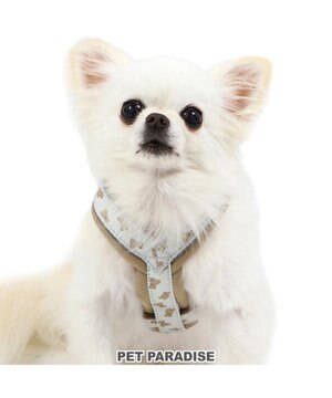  ペットパラダイス くまちゃん アクティブハーネス 小型犬 S