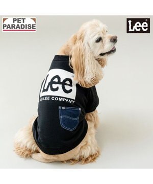  Lee ボックスロゴ トレーナー ブラック 中型犬