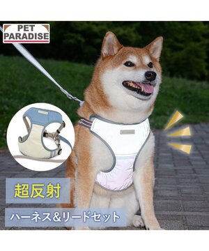  ペットパラダイス 超反射 切り替え ハーネス＆リード Ｍ 《ブルーグリーン》