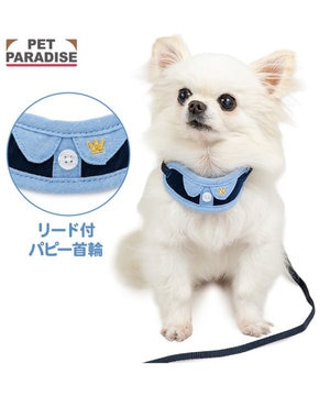 ペットパラダイス リード付き首輪 《シャツ》 小型犬