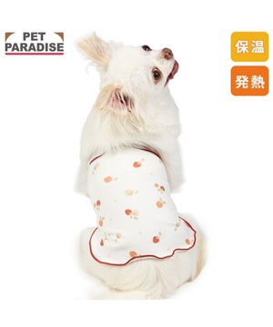  ペットパラダイス ペティヒート 天竺 腹巻 《いちご柄》 小型犬