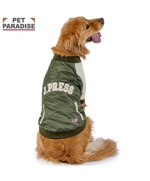  J.PRESS ミリタリー スタジャン 中型犬 大型犬