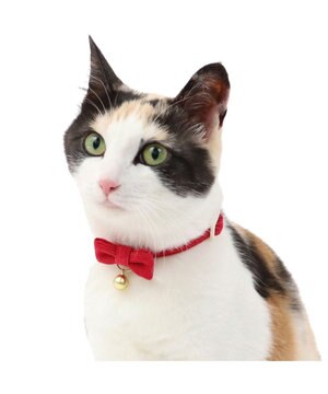  猫用 首輪 コーデュロイ 【小】 【中】  レッド