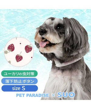  ペットパラダイス 28℃クールリング  《いちご》 Ｓ 小型犬