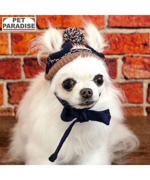  ペットパラダイス ボンボン付き 男の子 ニット帽子 小型犬 ４Ｓ～３Ｓ/ＳＳ～Ｓ