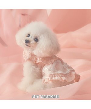  cherircouture フリルカラーワンピース 小型犬