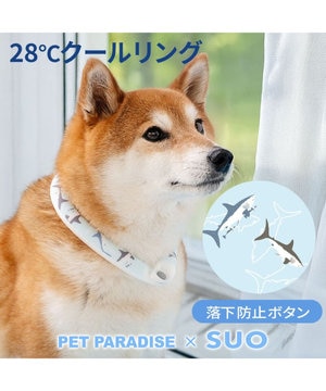  ペットパラダイス ２８℃ クールリング ＳＭ 《サメ柄》