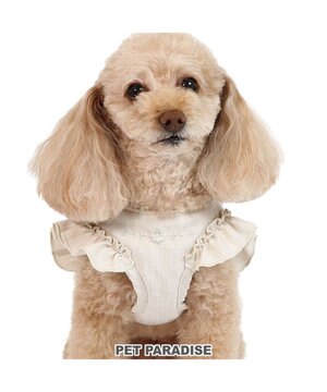  ペットパラダイス ベストハーネス 《フリル》 SS 小型犬