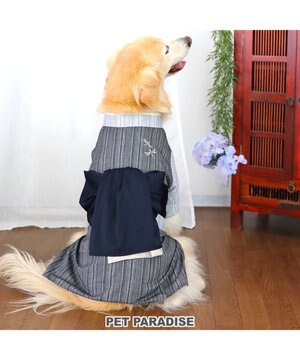  ペットパラダイス 黒白 浴衣 とんぼ刺繍 中型犬 大型犬