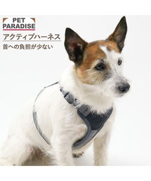  ペットパラダイス アクティブハーネス 杢調 Ｓ 小型犬