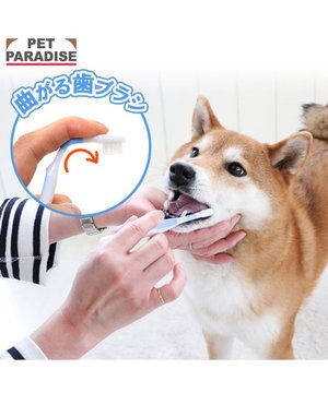  ペットパラダイス 曲がる歯ブラシ 全犬種用